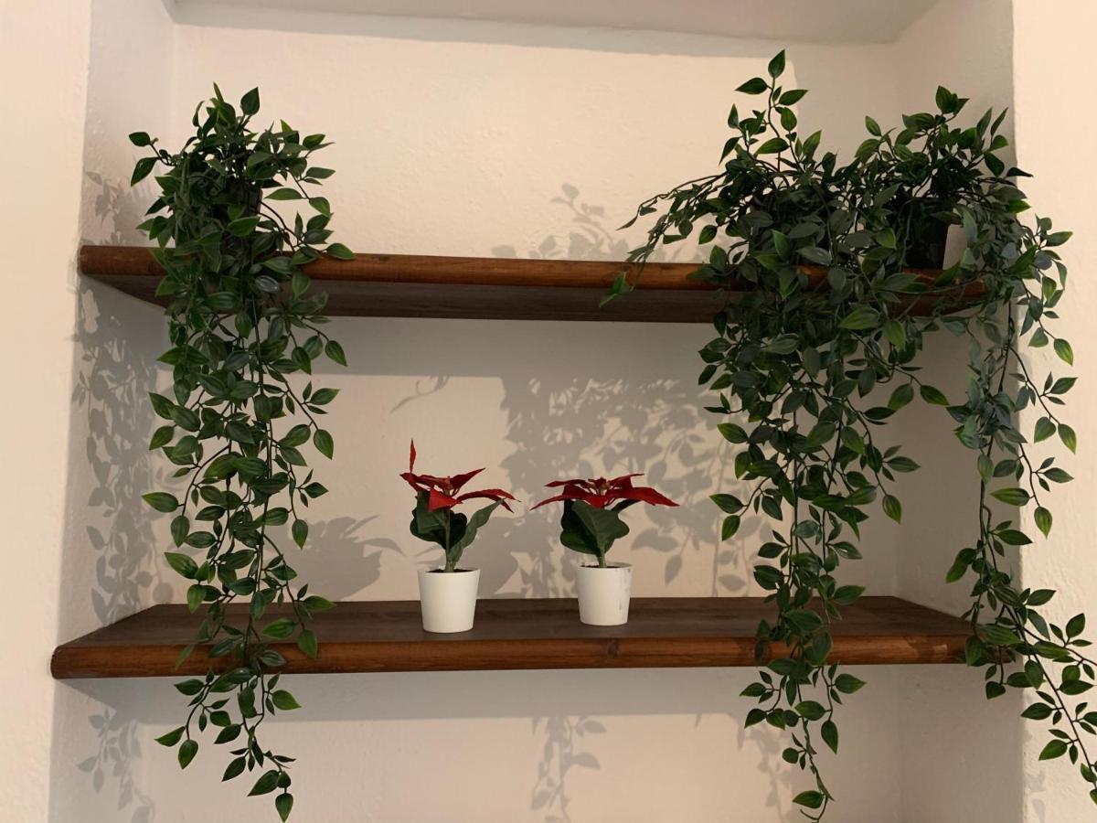 La Casa Di Ale Nel Centro Storico Di Cagliari Appartement Buitenkant foto